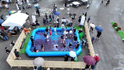 화성 송산포도축제 항공촬영 photo_resize12.jpg