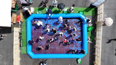 화성 송산포도축제 항공촬영 photo_resize14.jpg