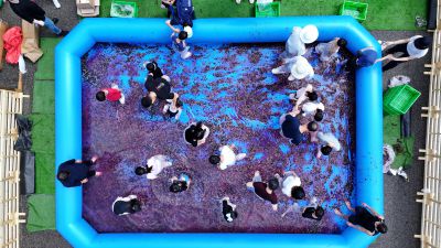 화성 송산포도축제 항공촬영 photo_resize15.jpg