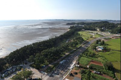 궁평유원지 및 매향리 평화생태공원 항공촬영 photo_resize07.jpg