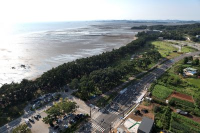 궁평유원지 및 매향리 평화생태공원 항공촬영 photo_resize08.jpg