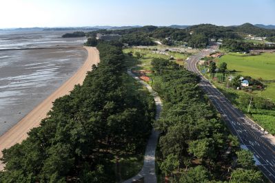 궁평유원지 및 매향리 평화생태공원 항공촬영 photo_resize09.jpg