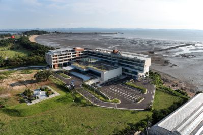 궁평유원지 및 매향리 평화생태공원 항공촬영 photo_resize11.jpg