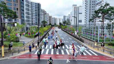 2025 화성특례시 정조효문화제 2일차 항공촬영 photo_resize22.jpg