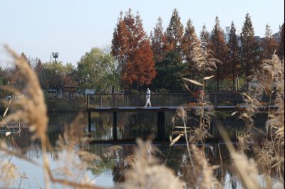 바르게살기운동 화성특례시협의회 2025 환경실천결의대회 C1KS5410_resize.JPG