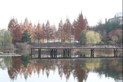 바르게살기운동 화성특례시협의회 2025 환경실천결의대회 C1KS5573_resize.JPG