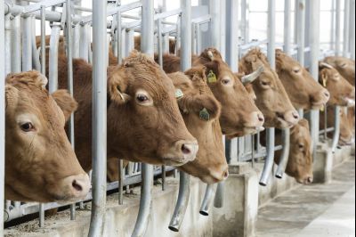 경기도 에코팜랜드 개소식 _144534035_19.jpg