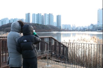 해맞이 행사 0D0A6909.jpg