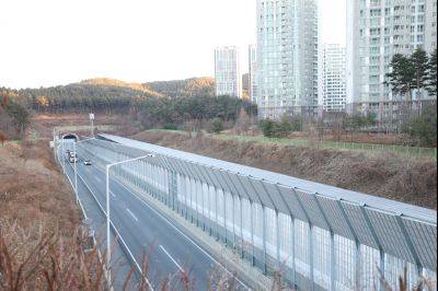 목동 동탄숲 생태터널 현황 C1KS4983_resize.JPG