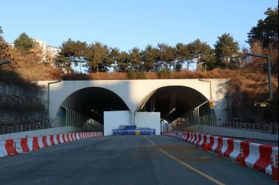 목동 동탄숲 생태터널 현황 C1KS5036_resize.JPG