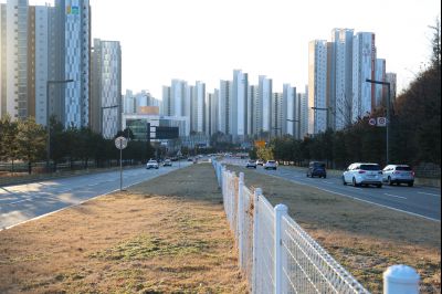 목동 동탄숲 생태터널 현황 C1KS5046_resize.JPG