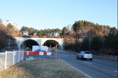 목동 동탄숲 생태터널 현황 C1KS5056_resize.JPG