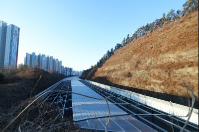 목동 동탄숲 생태터널 현황 C1KS5105_resize.JPG