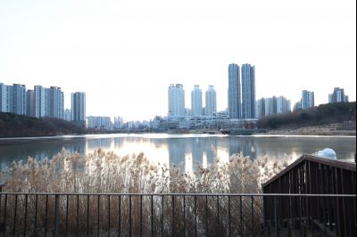 해맞이 행사 C1KS3749.JPG