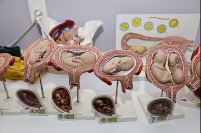 화성시청소년성문화센터 20260129 화성시청소년성문화센터_06.jpg