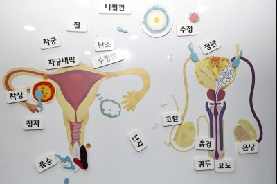 화성시청소년성문화센터 20260129 화성시청소년성문화센터_13.jpg