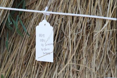 2026 화성특례시 제2회 정월대보름 한마당 C1KS3605_resize.JPG