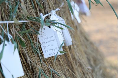 2026 화성특례시 제2회 정월대보름 한마당 C1KS3611_resize.JPG