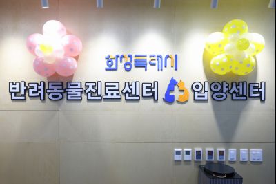 시립 반려동물 진료 및 입양센터 내외관 0D0A1257_resize.jpg