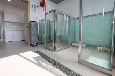 시립 반려동물 진료 및 입양센터 내외관 0D0A1323_resize.jpg