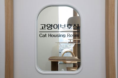 시립 반려동물 진료 및 입양센터 내외관 0D0A1335_resize.jpg