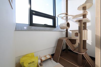 시립 반려동물 진료 및 입양센터 내외관 0D0A1350_resize.jpg