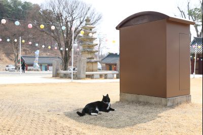 용주사 천보루 보물지정 기념식 당일 천보루 풍경 0D0A2774_resize.jpg