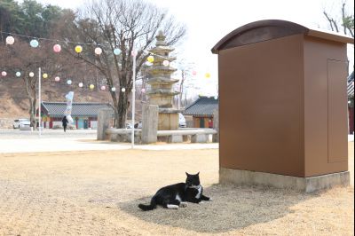 용주사 천보루 보물지정 기념식 당일 천보루 풍경 0D0A2781_resize.jpg