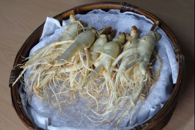 청년농업인 단체 차담회(도농브릿지) 0D0A4312_resize.jpg