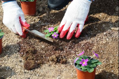 화성특별정원 조성 기념 식새행사 20260321 화성특별정원 조성 기념 식재행사_32_resize.jpg