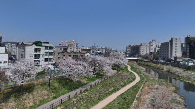 발안천 벚꽃길 및 발안시가지,향남역 일원 항공사진 DJI_20260412192447_0005_D_resize.JPG