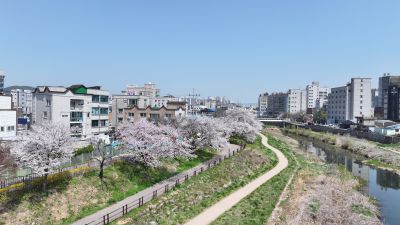 발안천 벚꽃길 및 발안시가지,향남역 일원 항공사진 DJI_20260412192447_0006_D_resize.JPG