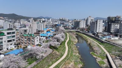 발안천 벚꽃길 및 발안시가지,향남역 일원 항공사진 DJI_20260412192457_0007_D_resize.JPG
