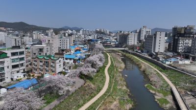 발안천 벚꽃길 및 발안시가지,향남역 일원 항공사진 DJI_20260412192457_0008_D_resize.JPG