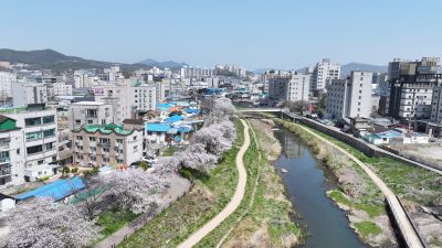 발안천 벚꽃길 및 발안시가지,향남역 일원 항공사진 DJI_20260412192457_0009_D_resize.JPG