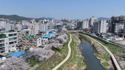 발안천 벚꽃길 및 발안시가지,향남역 일원 항공사진 DJI_20260412192503_0010_D_resize.JPG