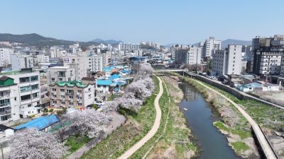발안천 벚꽃길 및 발안시가지,향남역 일원 항공사진 DJI_20260412192503_0012_D_resize.JPG