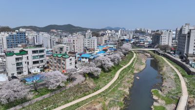발안천 벚꽃길 및 발안시가지,향남역 일원 항공사진 DJI_20260412192509_0013_D_resize.JPG