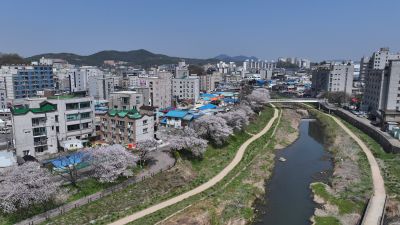 발안천 벚꽃길 및 발안시가지,향남역 일원 항공사진 DJI_20260412192509_0014_D_resize.JPG