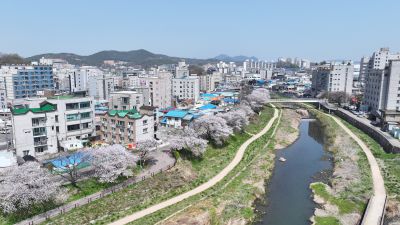 발안천 벚꽃길 및 발안시가지,향남역 일원 항공사진 DJI_20260412192509_0015_D_resize.JPG