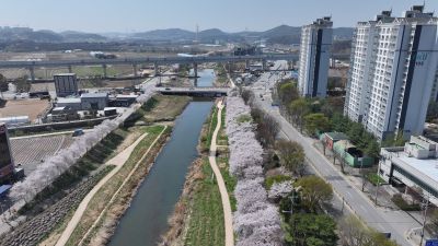 발안천 벚꽃길 및 발안시가지,향남역 일원 항공사진 DJI_20260412192739_0049_D_resize.JPG