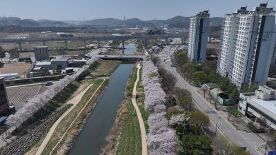 발안천 벚꽃길 및 발안시가지,향남역 일원 항공사진 DJI_20260412192739_0050_D_resize.JPG