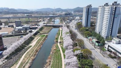 발안천 벚꽃길 및 발안시가지,향남역 일원 항공사진 DJI_20260412192739_0051_D_resize.JPG