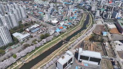 발안천 벚꽃길 및 발안시가지,향남역 일원 항공사진 DJI_20260412192929_0076_D_resize.JPG