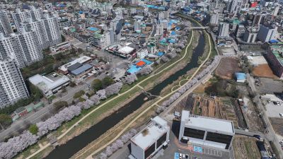 발안천 벚꽃길 및 발안시가지,향남역 일원 항공사진 DJI_20260412192929_0077_D_resize.JPG