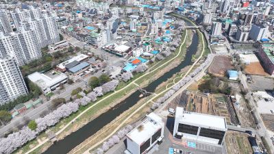 발안천 벚꽃길 및 발안시가지,향남역 일원 항공사진 DJI_20260412192929_0078_D_resize.JPG
