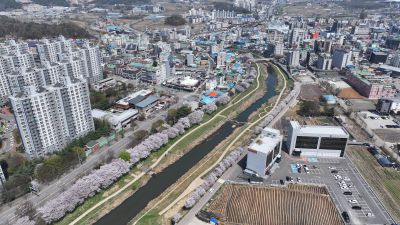 발안천 벚꽃길 및 발안시가지,향남역 일원 항공사진 DJI_20260412192952_0082_D_resize.JPG