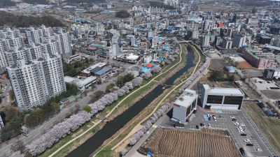 발안천 벚꽃길 및 발안시가지,향남역 일원 항공사진 DJI_20260412192952_0083_D_resize.JPG