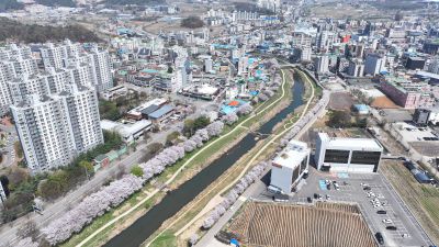 발안천 벚꽃길 및 발안시가지,향남역 일원 항공사진 DJI_20260412192952_0084_D_resize.JPG