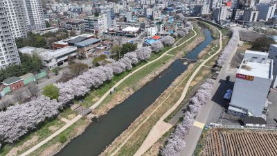 발안천 벚꽃길 및 발안시가지,향남역 일원 항공사진 DJI_20260412193235_0089_D_resize.JPG